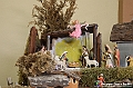 VBS_8374 - Presepe Chiesa di Martinetta Natale 2024